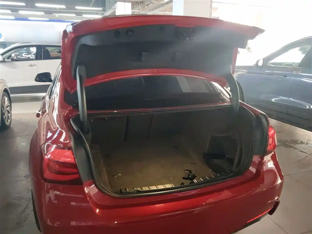BMW 3 Series 2019 320Li M Sport Black Night Edition фото 15