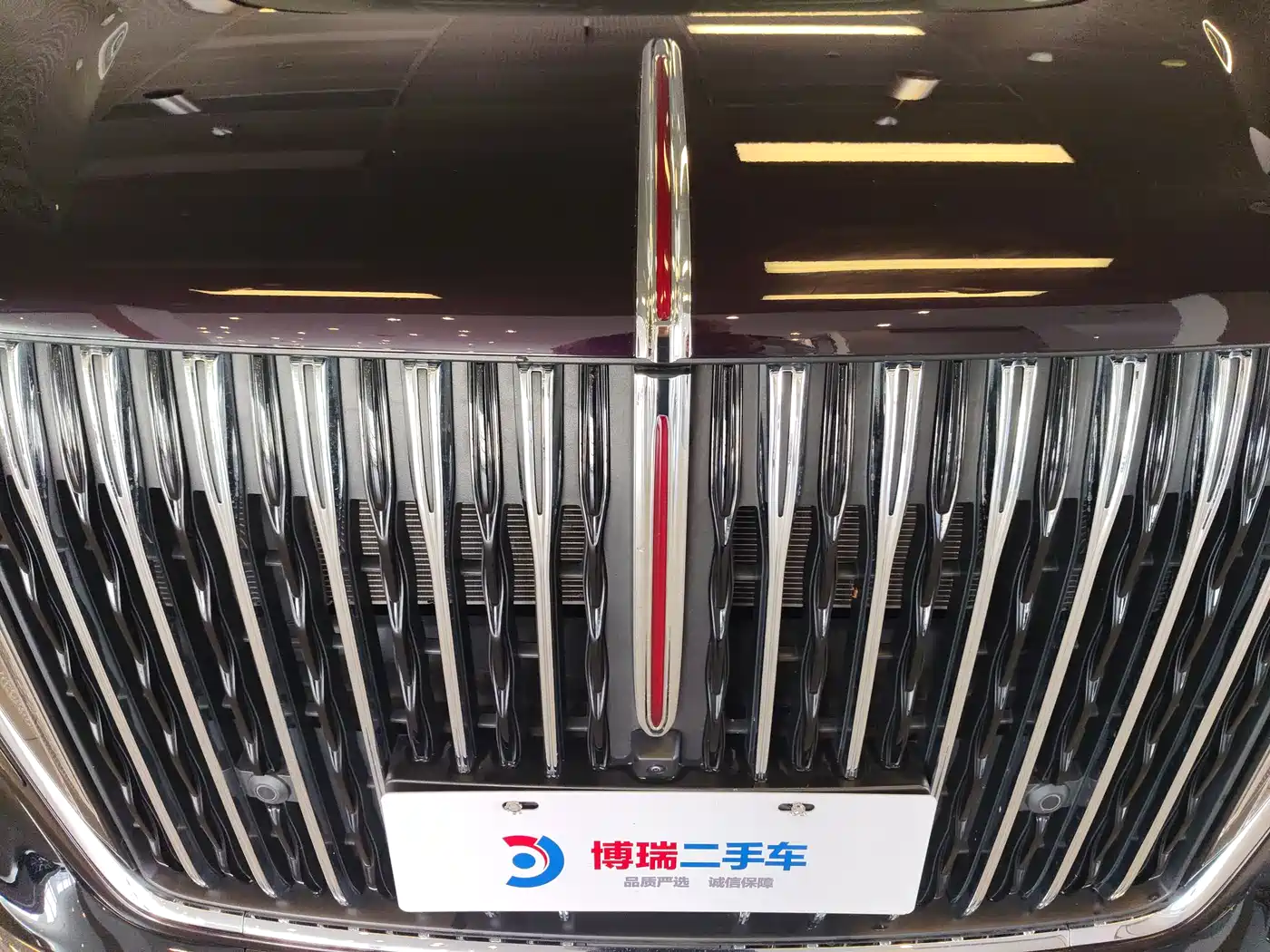 Hongqi HQ9 PHEV 2024 Model 2.0T AWD Luxury Edition фото 5