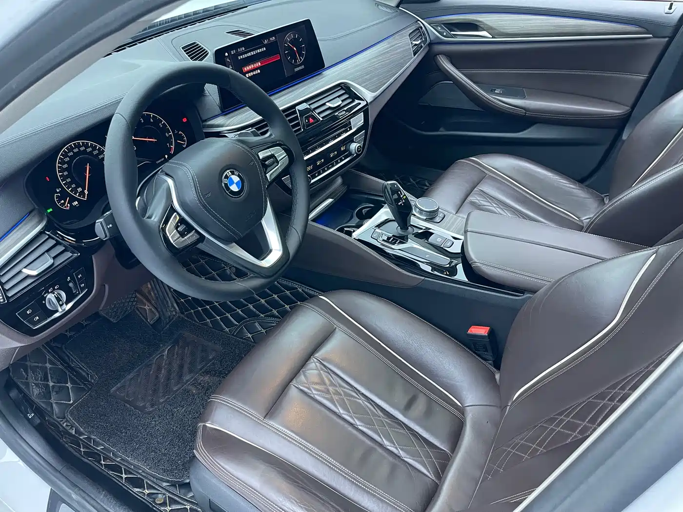 BMW 5 Series 2019 530Li Leading Luxury Package фото 8