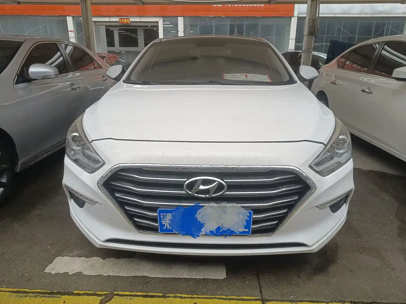 HYUNDAI NAME PICTURE