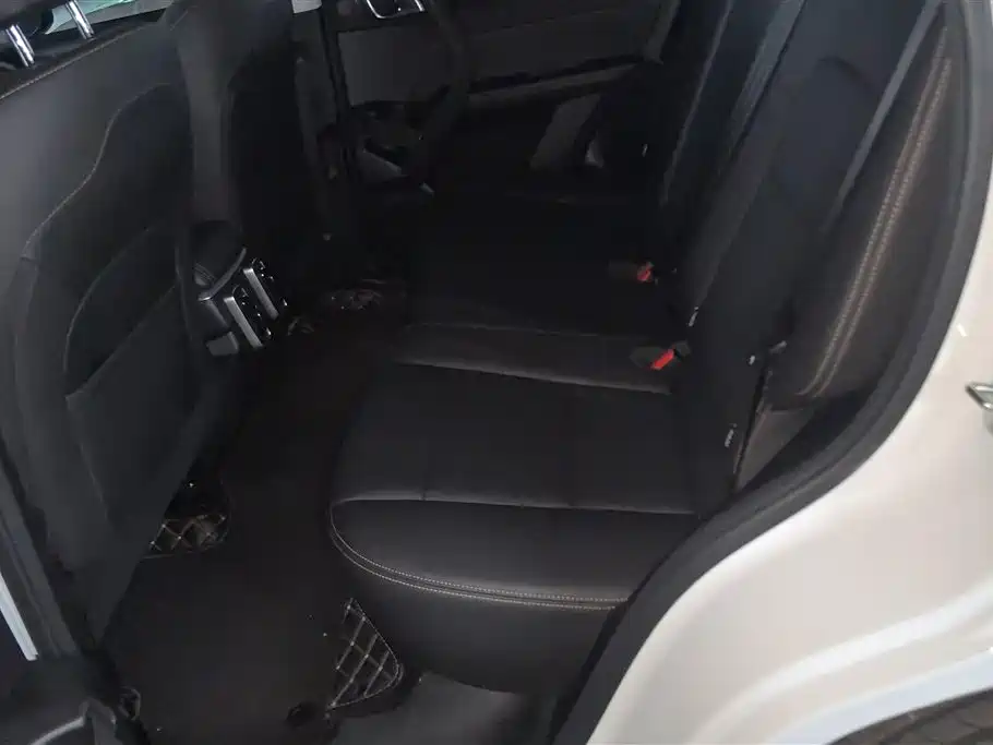 Haval Big Dog 2024 1.5T DCT Border Collie Edition фото 11