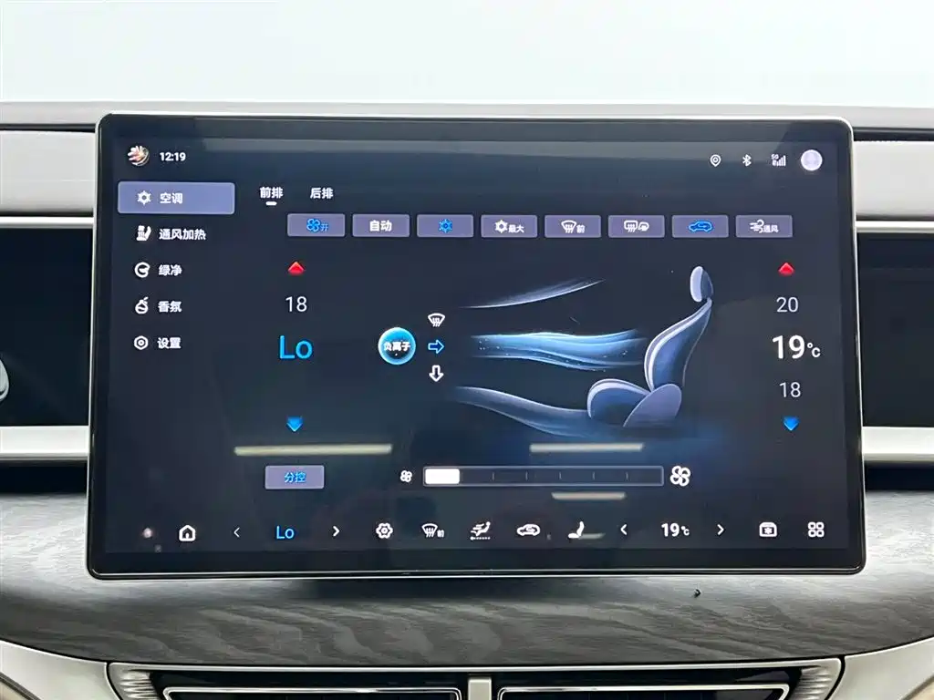 Denza D9 2024 DM-i 980 AWD Premium фото 24