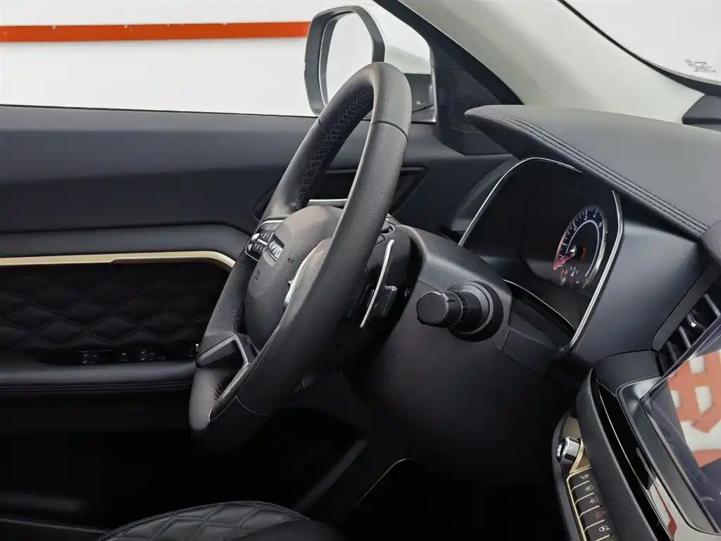 Haval H6 2021 1.5GDIT Automatic Champion Edition фото 22