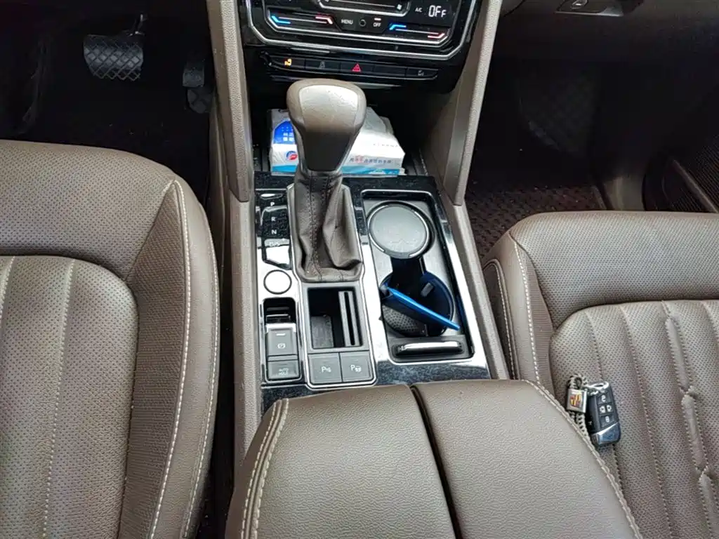 Volkswagen Viloran 2020 330TSI Luxury Edition фото 14