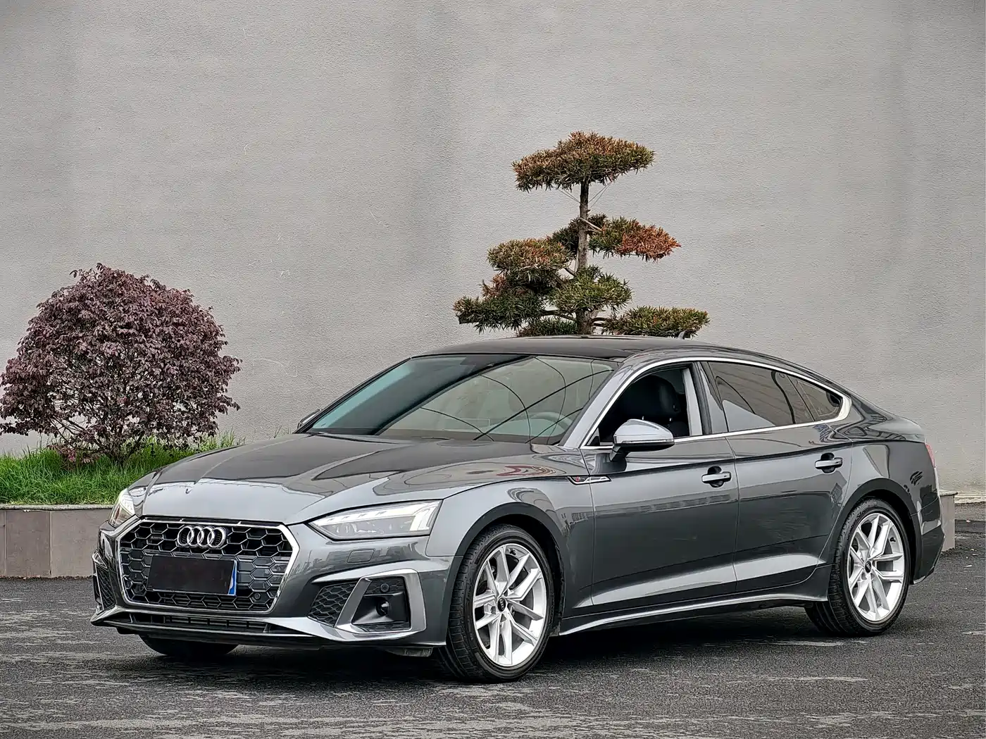 Audi A5 (Import) 2024 Sportback 40 TFSI Fashion Dynamic фото 3