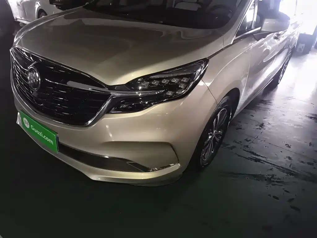 Buick GL8 2021 ES Landlord 653T Comfort фото 24