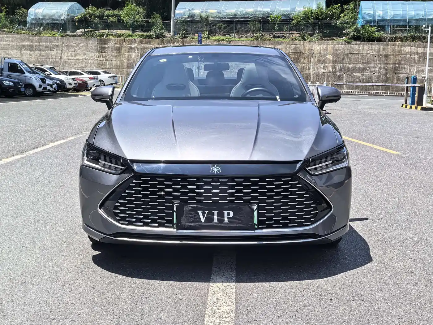 BYD Qin PLUS 2024 Glory Edition DM-i 55KM Surpass фото 2