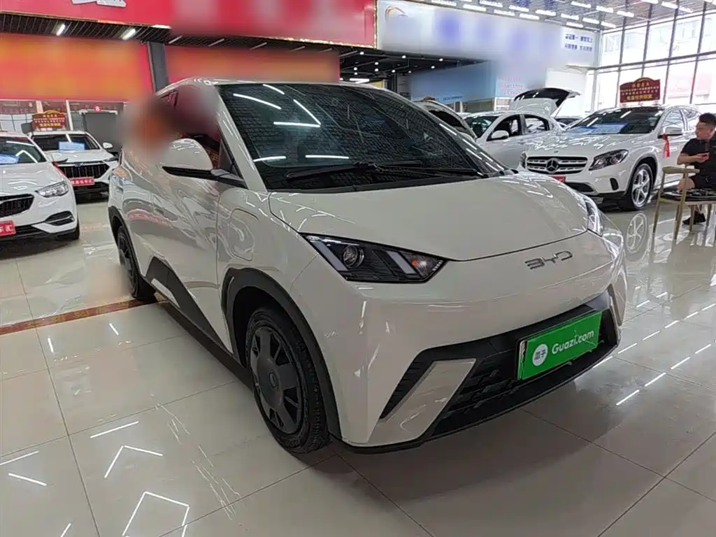 BYD Seagull 2023 Vitality Edition фото 4