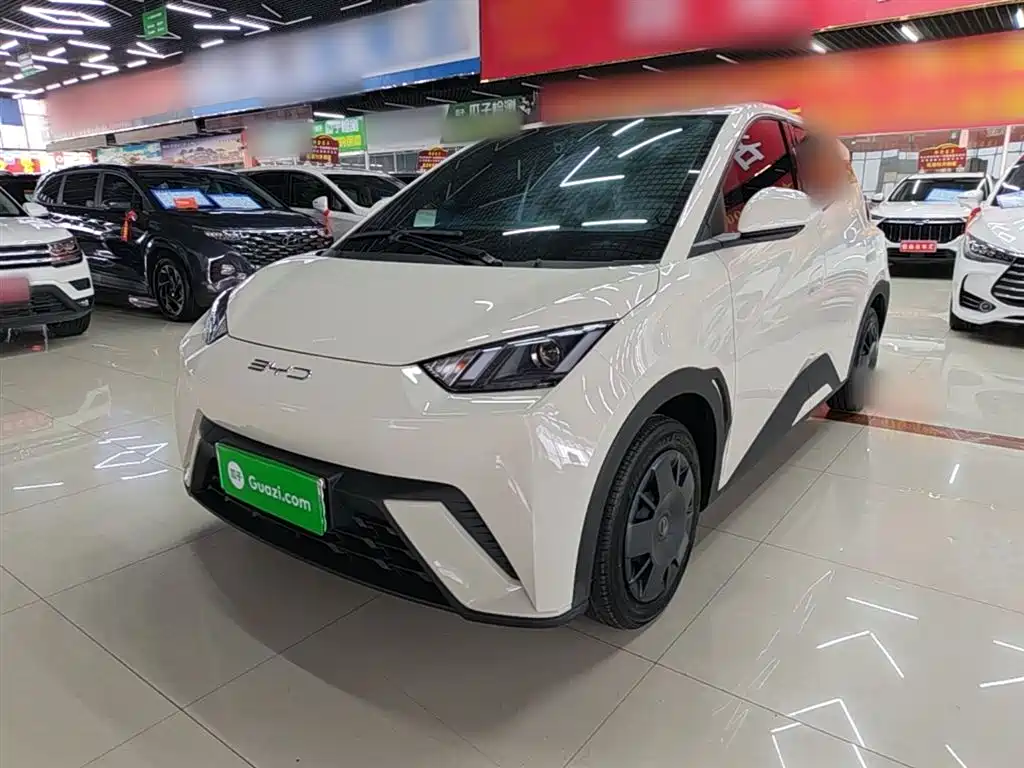 BYD Seagull 2023 Vitality Edition фото 2