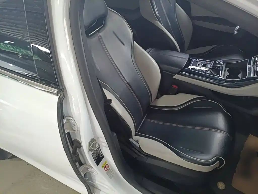 BYD Qin PLUS 2021 2021 EV 400KM Luxury Model