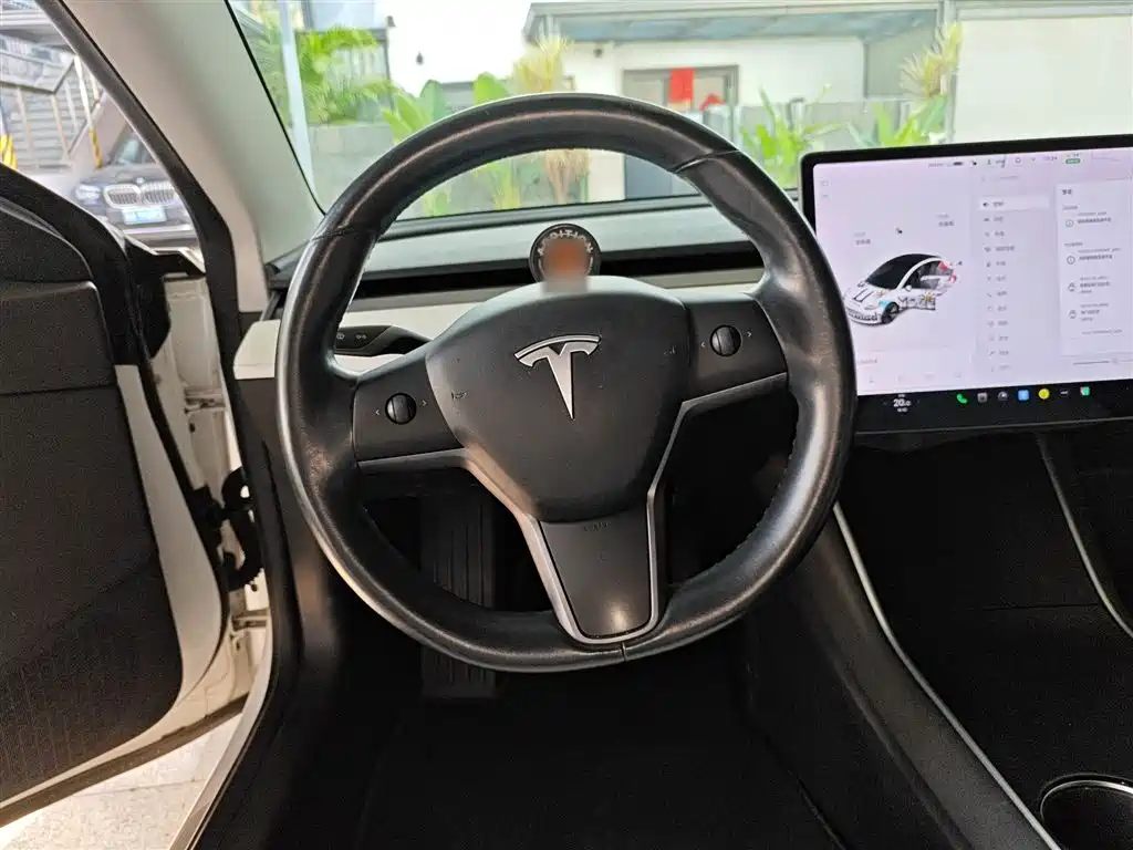 TESLA MODEL 3 (IMPORTED)