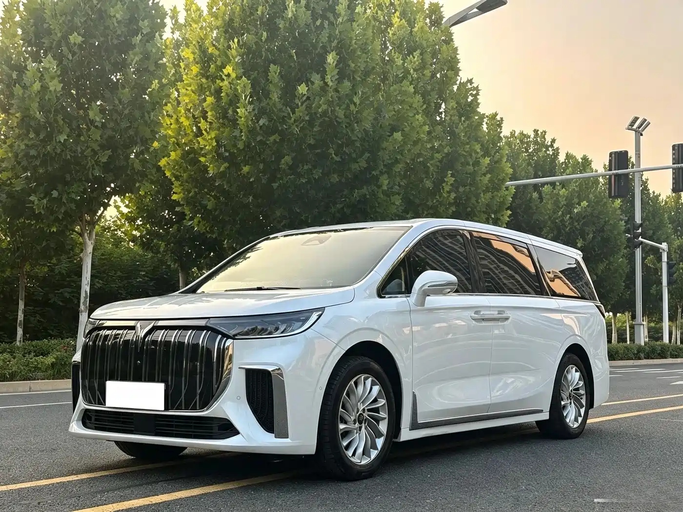 Voyah Auto Voyah Dreamer