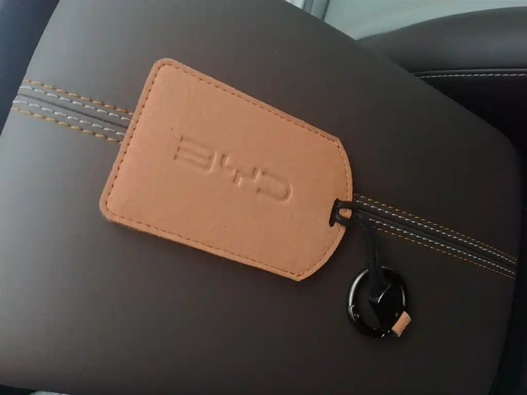 BYD Qin PLUS 2024 Glory Edition DM-i 55KM Leading фото 9
