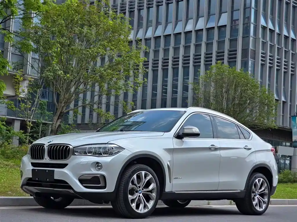 BMW X6 2017 xDrive35i Leading