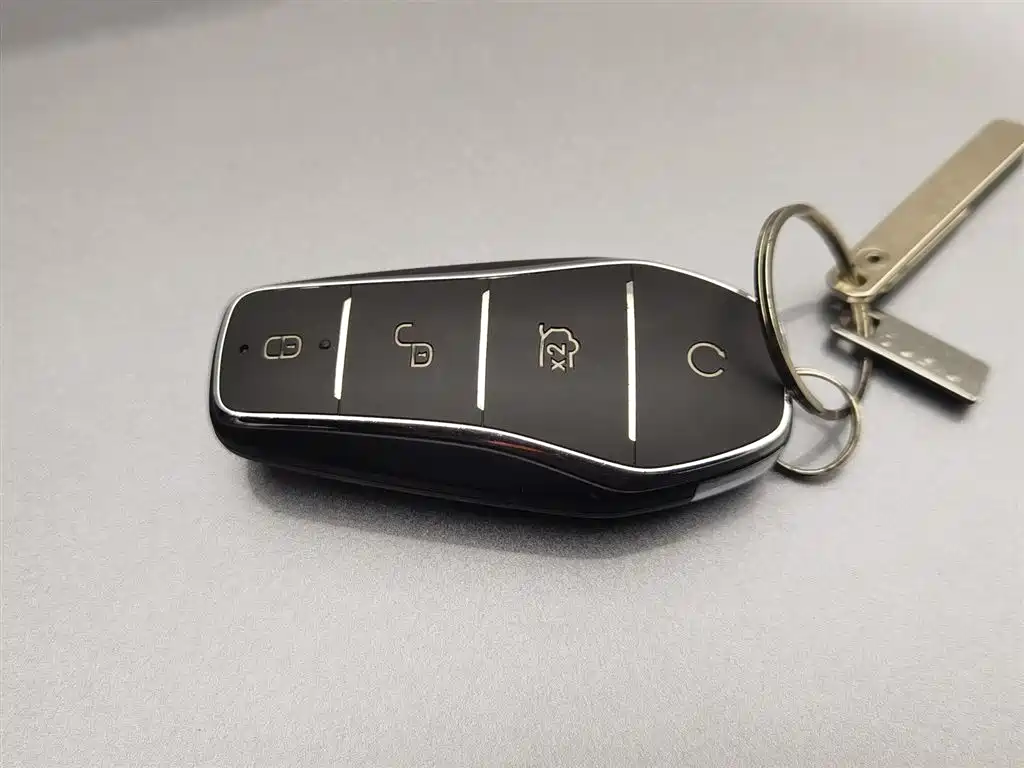 BYD SONGJIANG NEW ENERGY