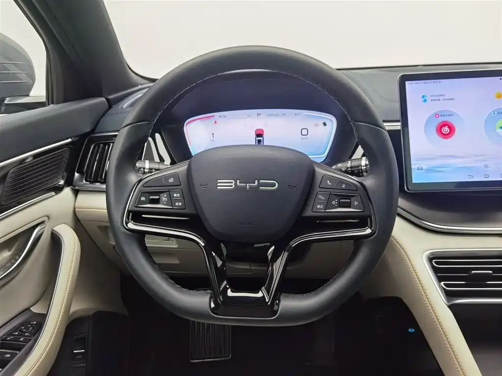 BYD SONGJIANG NEW ENERGY