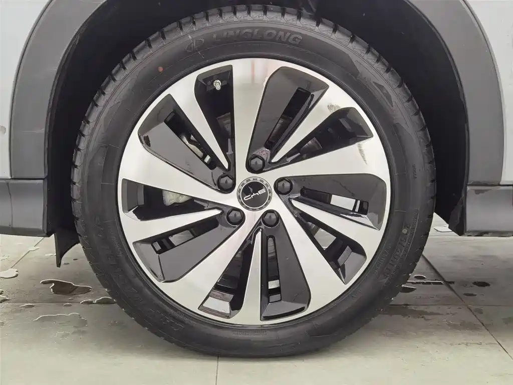 BYD SONGJIANG NEW ENERGY