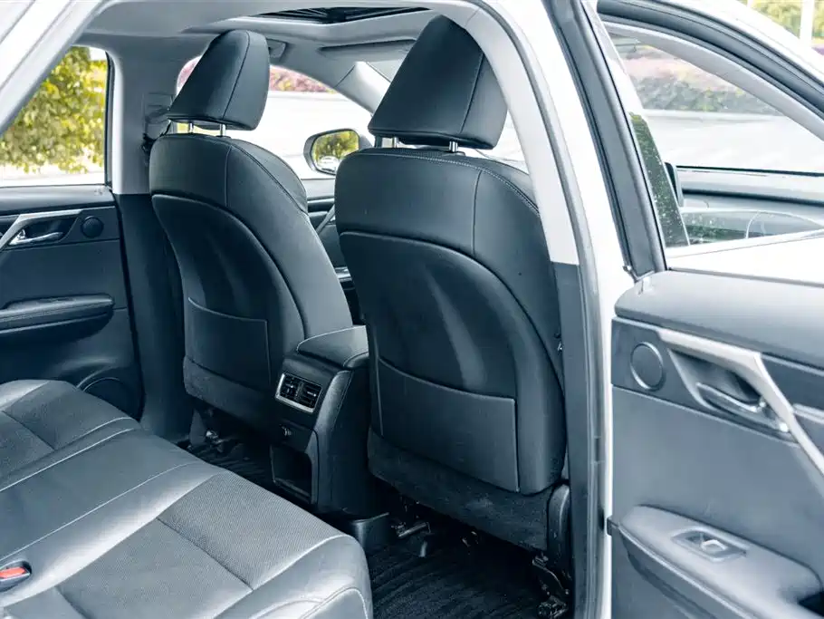 Lexus RX 2016 300 2WD Comfort Edition China V фото 19