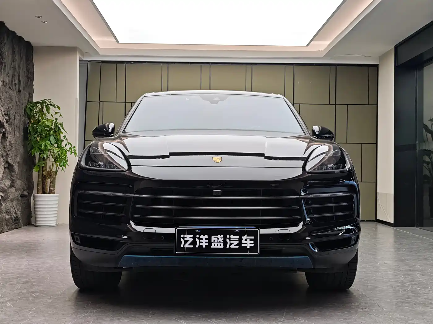 Porsche Cayenne 2022 Cayenne 3.0T Platinum Edition фото 2