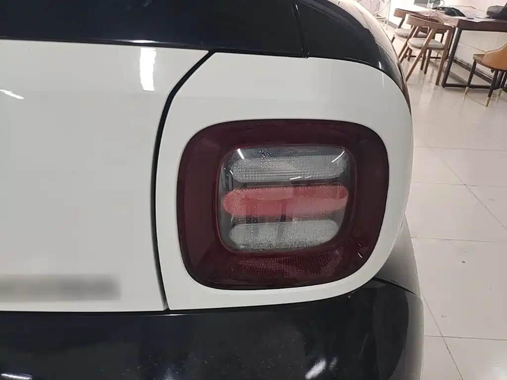 Ora Black Cat 2021 2021 301km Pet Edition