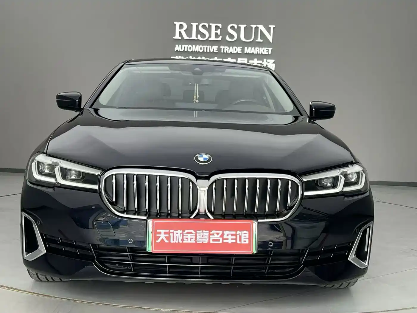 BMW 5 SERIES NEW ENERGY