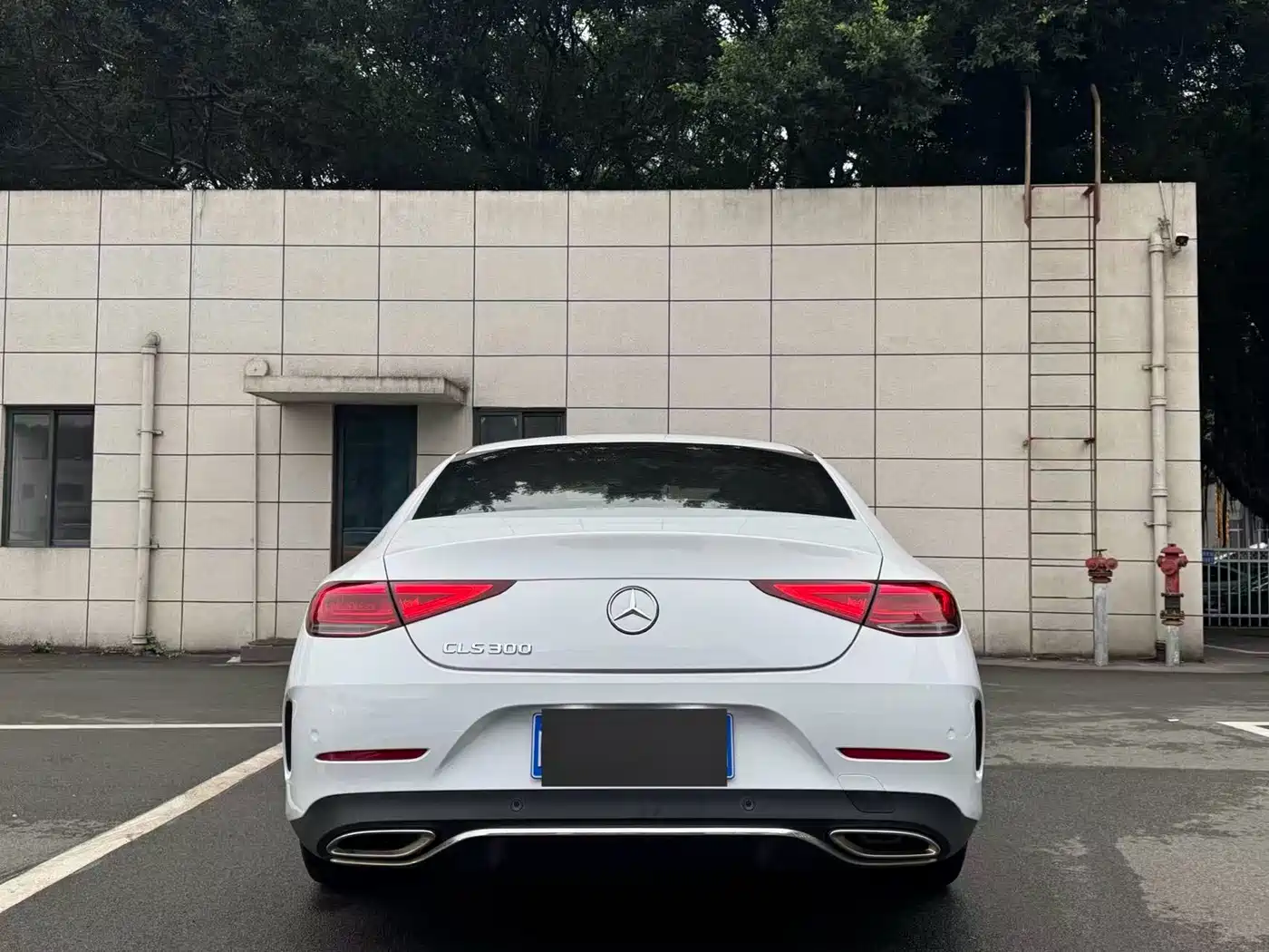 Mercedes-Benz CLS 2020 CLS 300 Dynamic фото 9