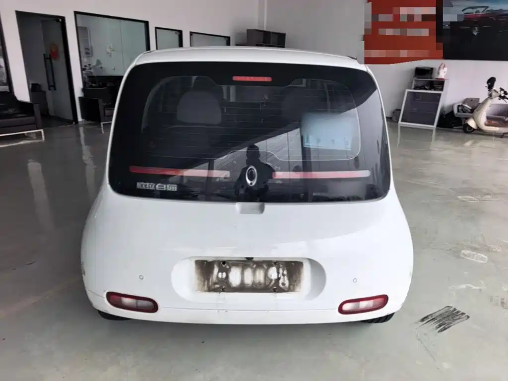 Ora White Cat 2021 2020 305km Luxury