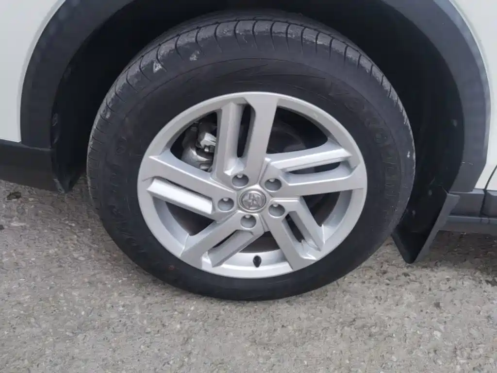 Venucia T60 2021 2020 Model 1.6L CVT Zhixing Edition China VI