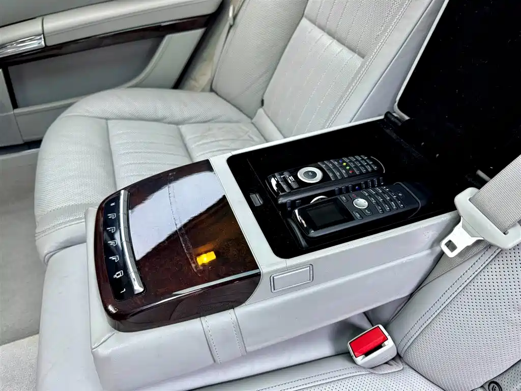 Mercedes-Benz S-Class 2010 S 600 L фото 23