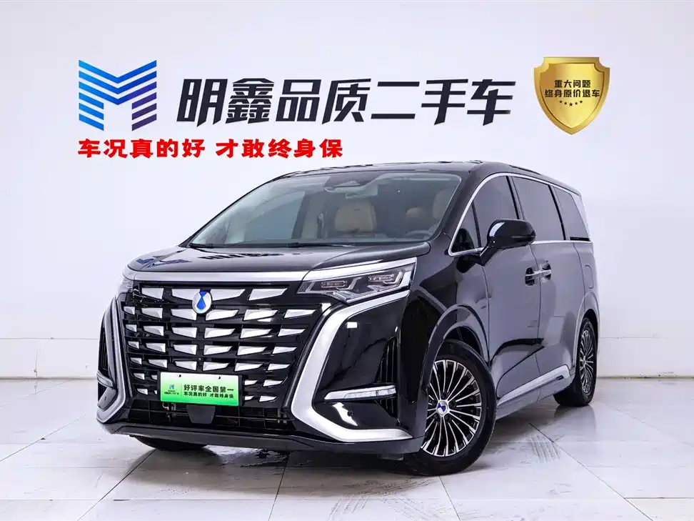 Denza D9 2024 DM-i 980 AWD Flagship