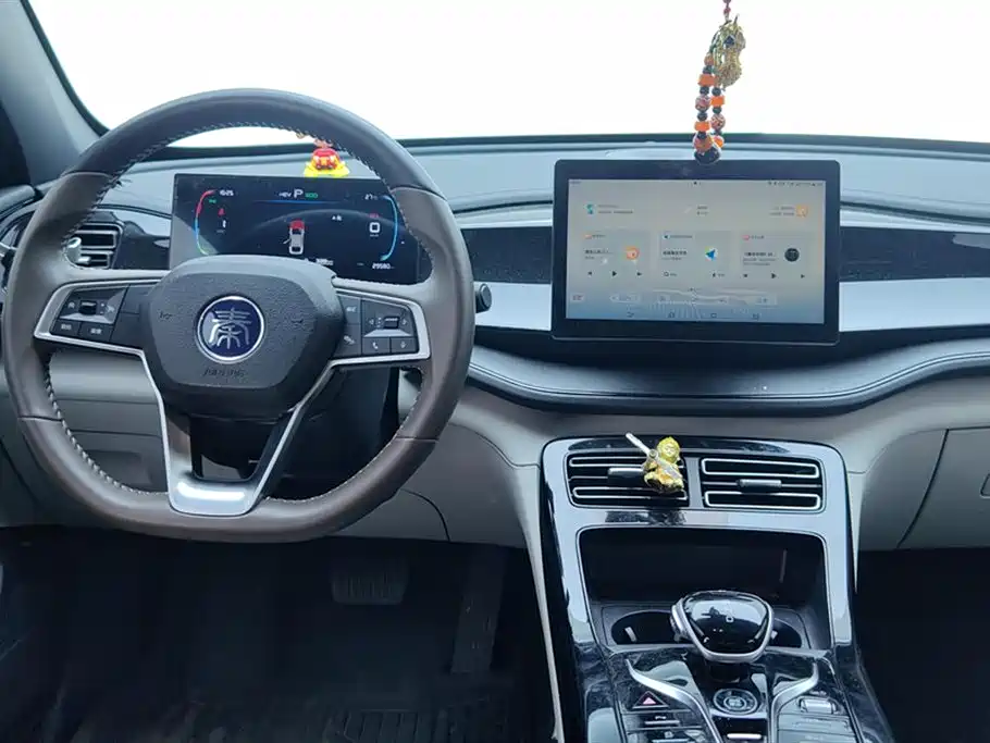 BYD Qin PLUS 2024 Glory Edition DM-i 55KM Leading фото 12