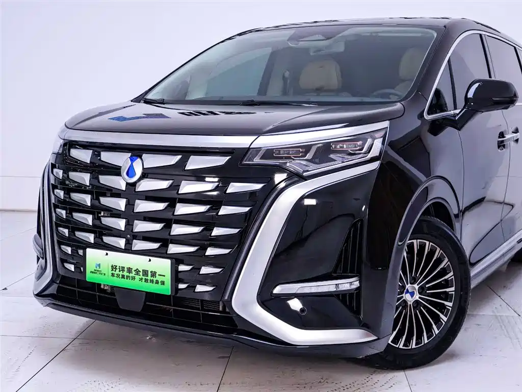 Denza D9 2024 DM-i 980 AWD Flagship фото 3