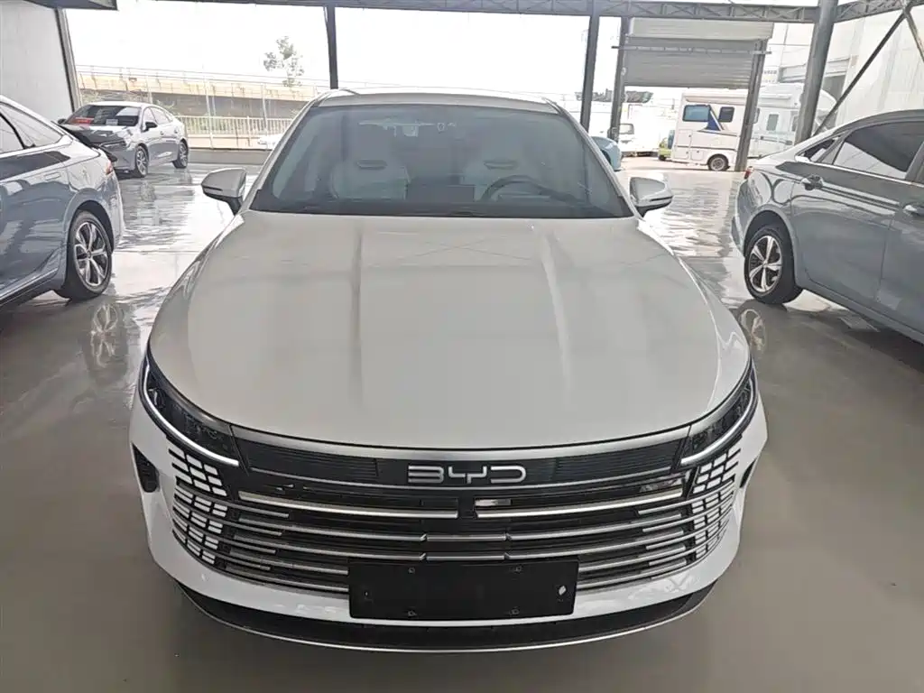 BYD Destroyer 05 2024 Glory Edition DM-i 55KM Luxury фото 3