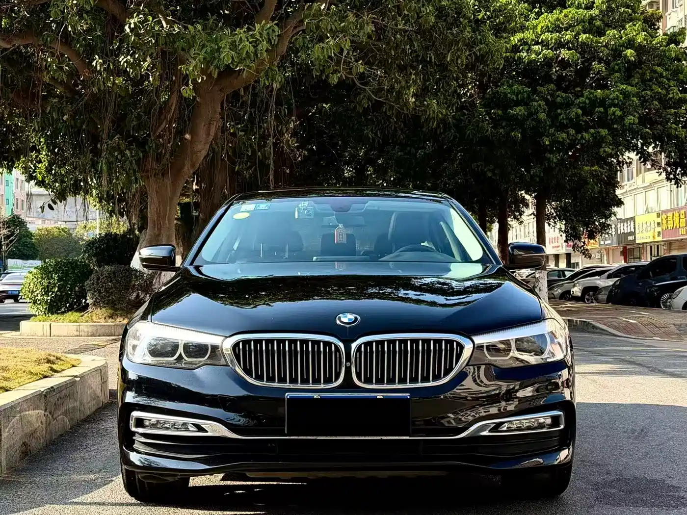 BMW 5 Series 2018 525Li Luxury Package фото 2