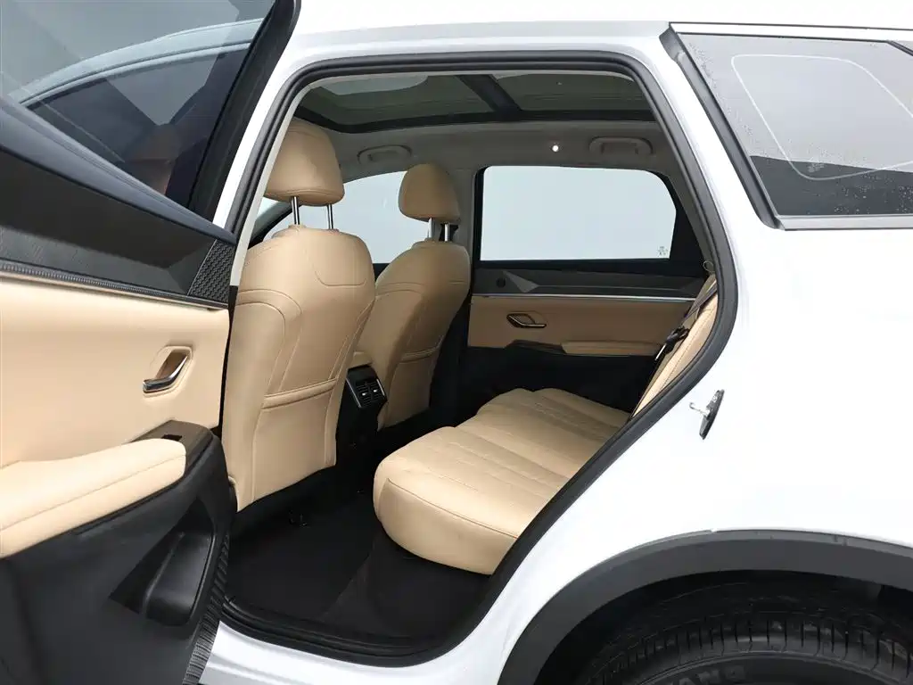 BYD Song Pro New Energy 2025 2nd Gen DM-i 115KM Excellence фото 13