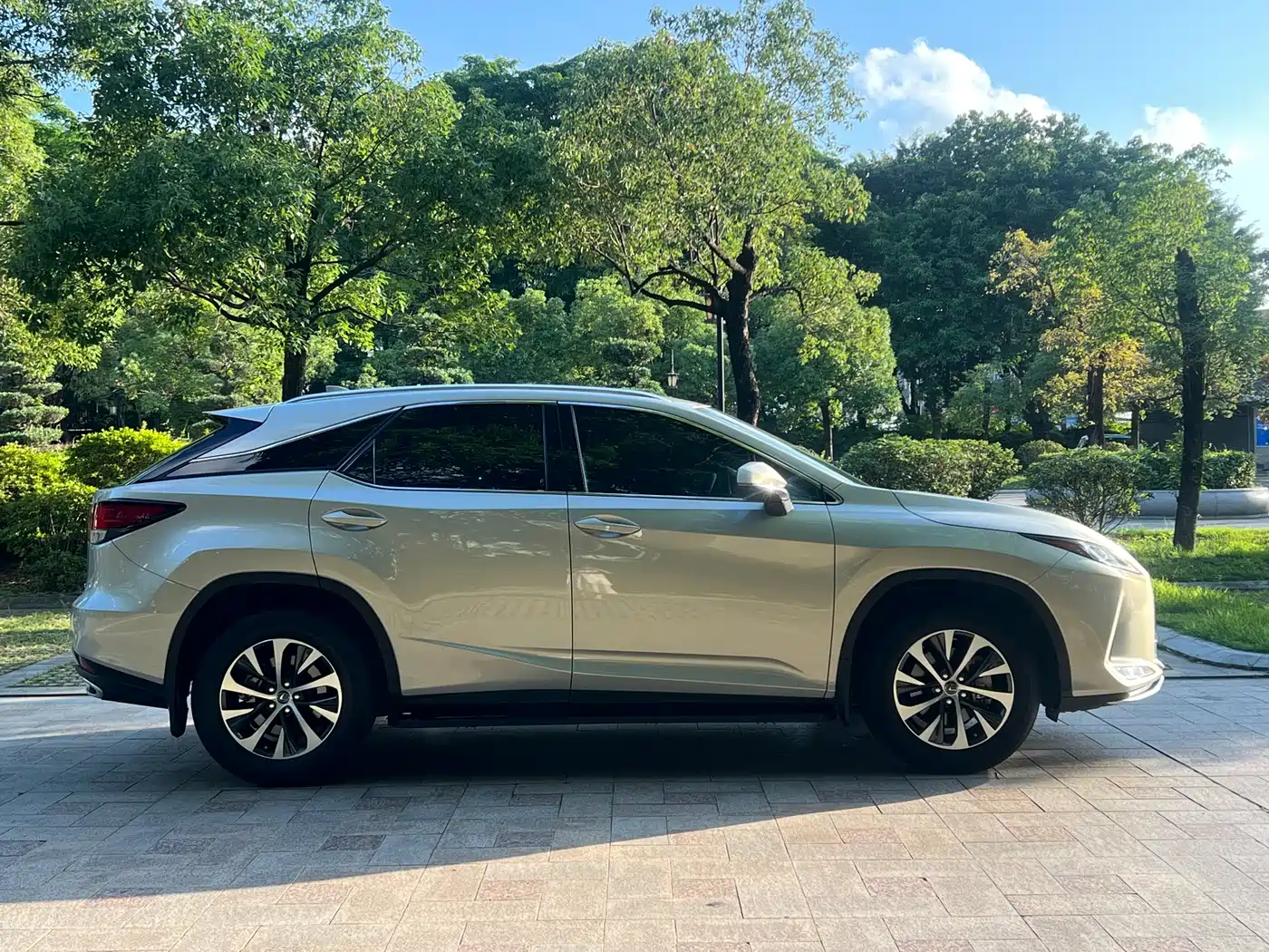 LEXUS RX