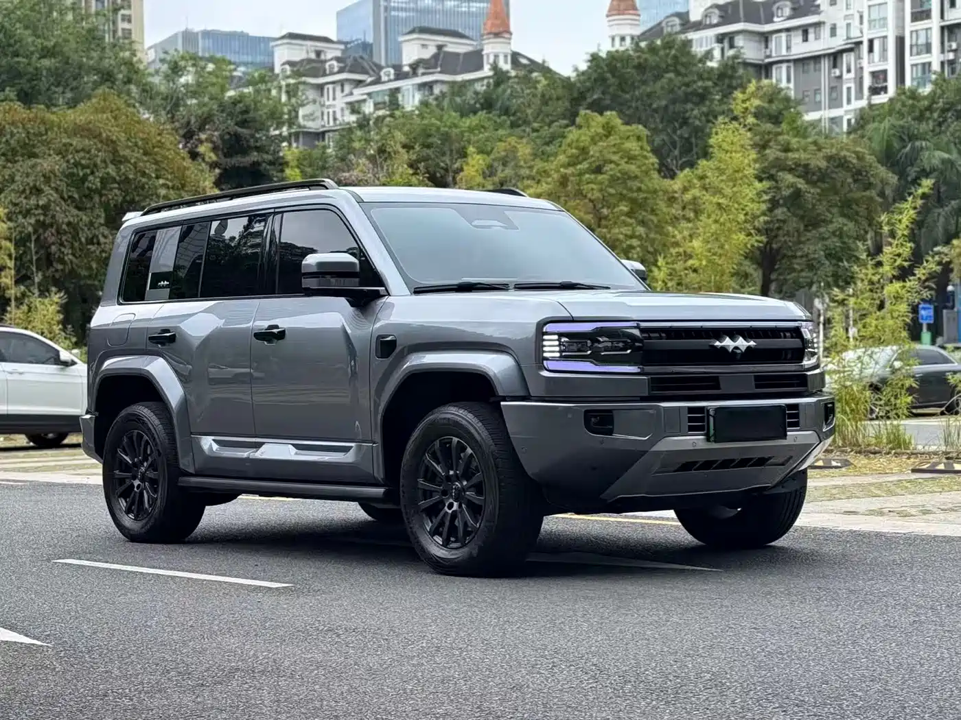 FANG CHENG BAO LEOPARD 5