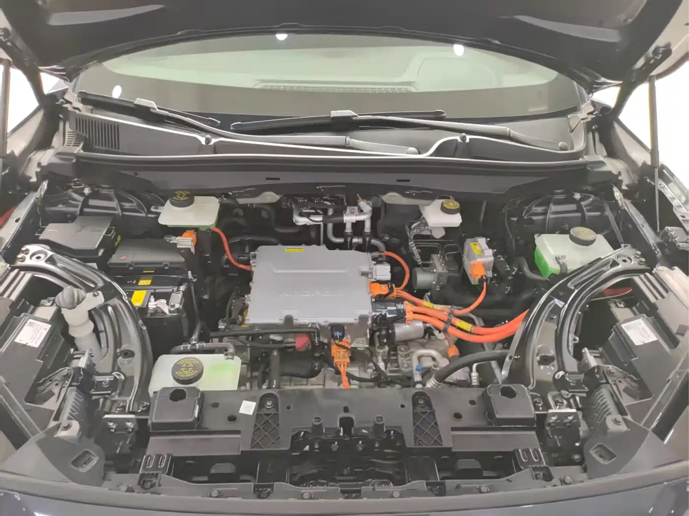 ARCFOX EXTREME FOX POLAR FOX ALPHA S