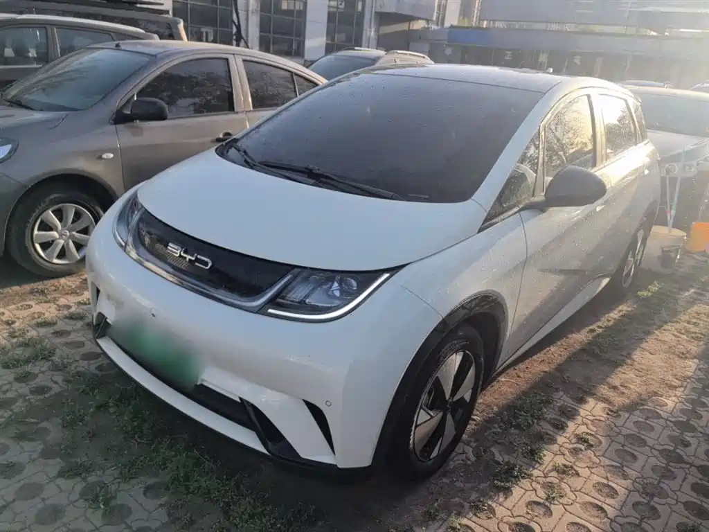 BYD Dolphin 2023 420km Fashion Edition