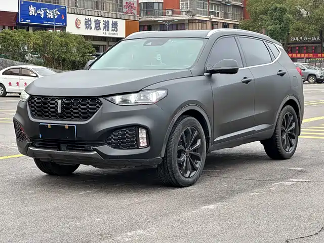 wei-pai wei-brand-vv6