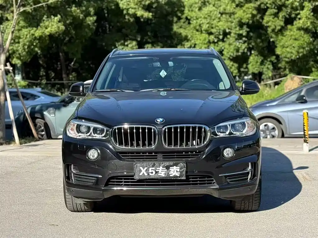 BMW X5 (Import) 2017 xDrive35i Elegance фото 2