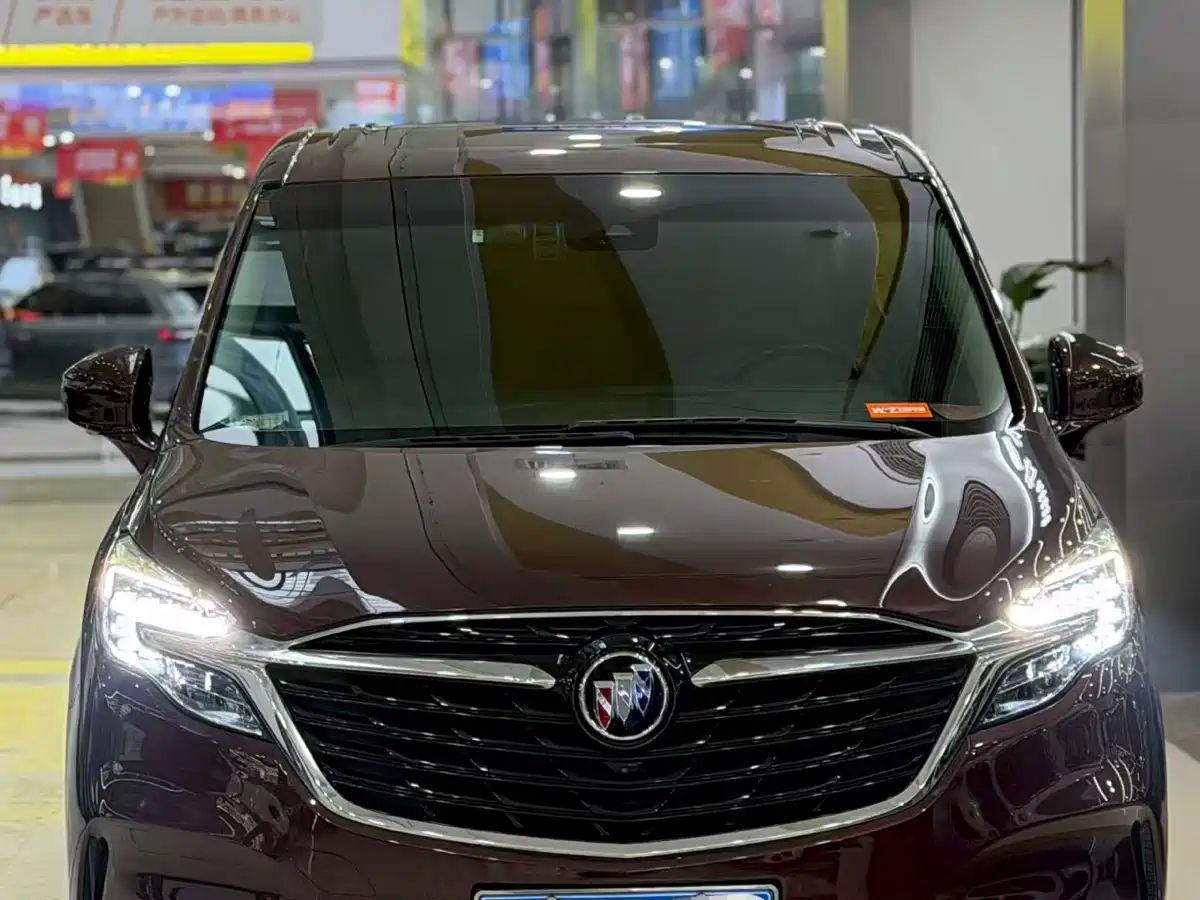 Buick GL8 2022 ES Landmark 653T Luxury фото 2