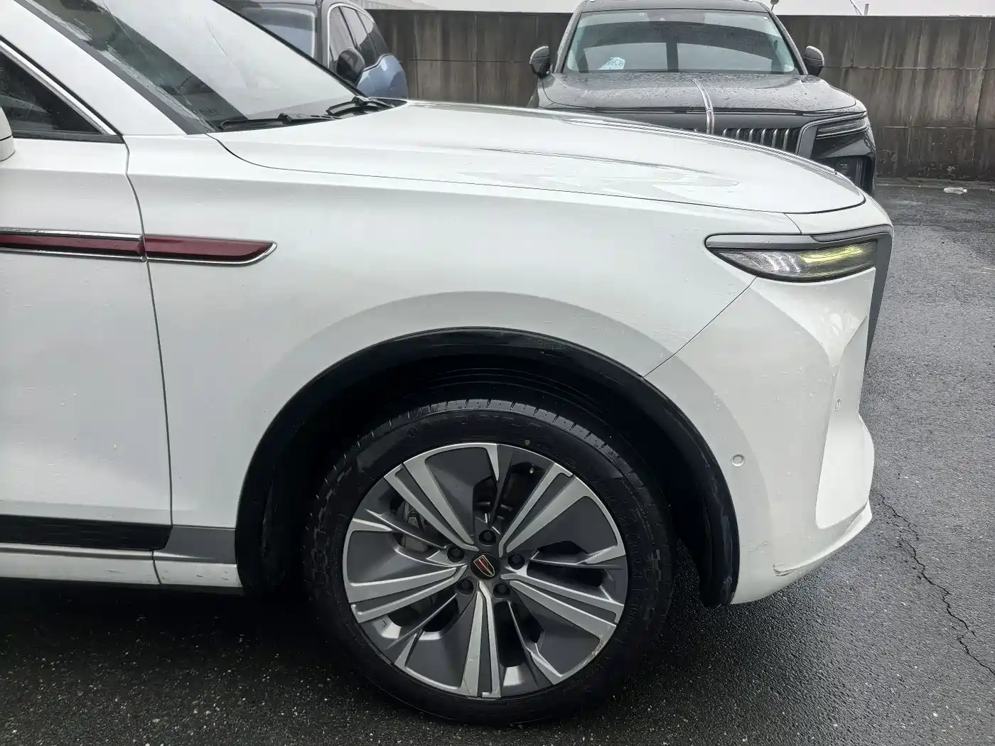 Hongqi E-HS9 2021 460km Flagship Deluxe 7-seater фото 18