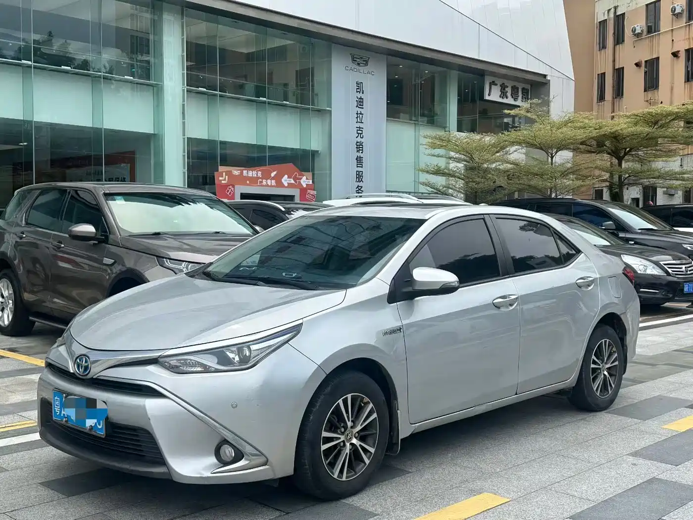 TOYOTA LEI LING