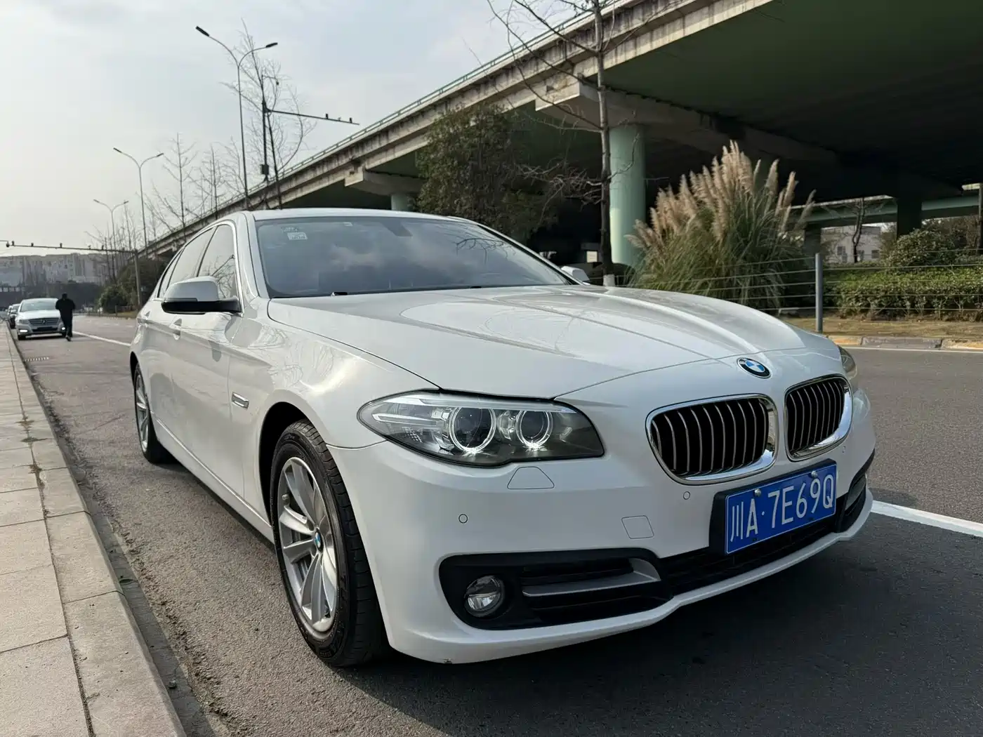 BMW 5 Series 2014 520Li Elegance фото 3