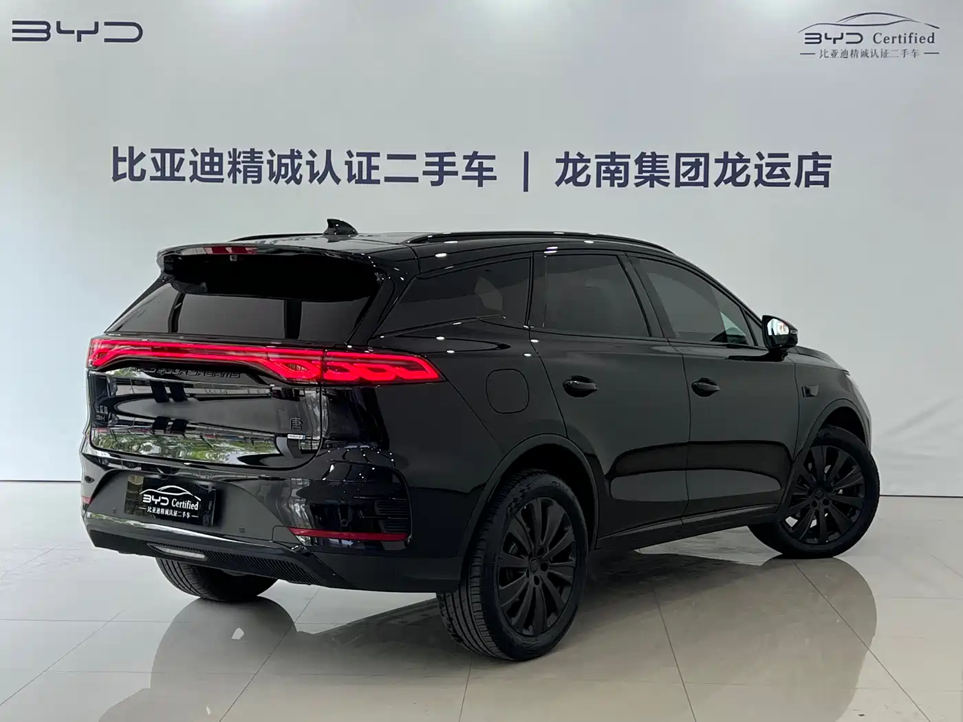 BYD Tang New Energy 2026 DM-i 115KM Premium фото 13