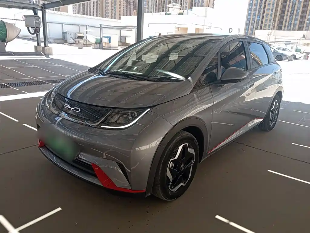 BYD Dolphin 2021 Model 405km Fashion Edition