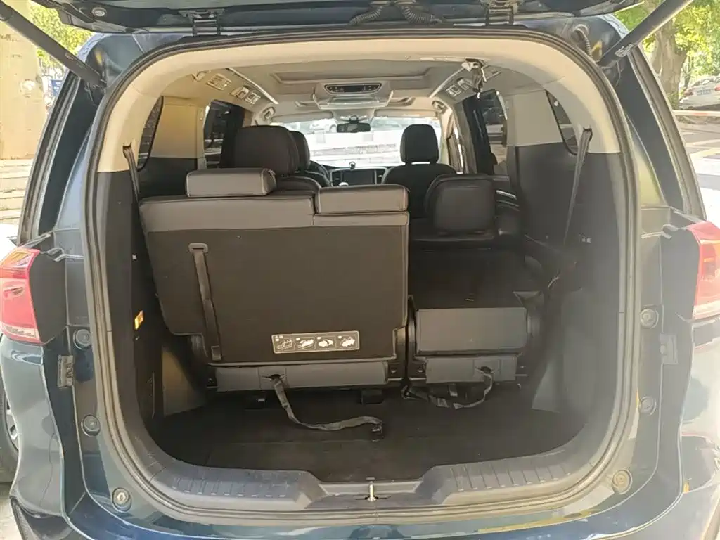 GAC Trumpchi Trumpchi M8 2020 Pilot 390T Prestige Edition фото 19