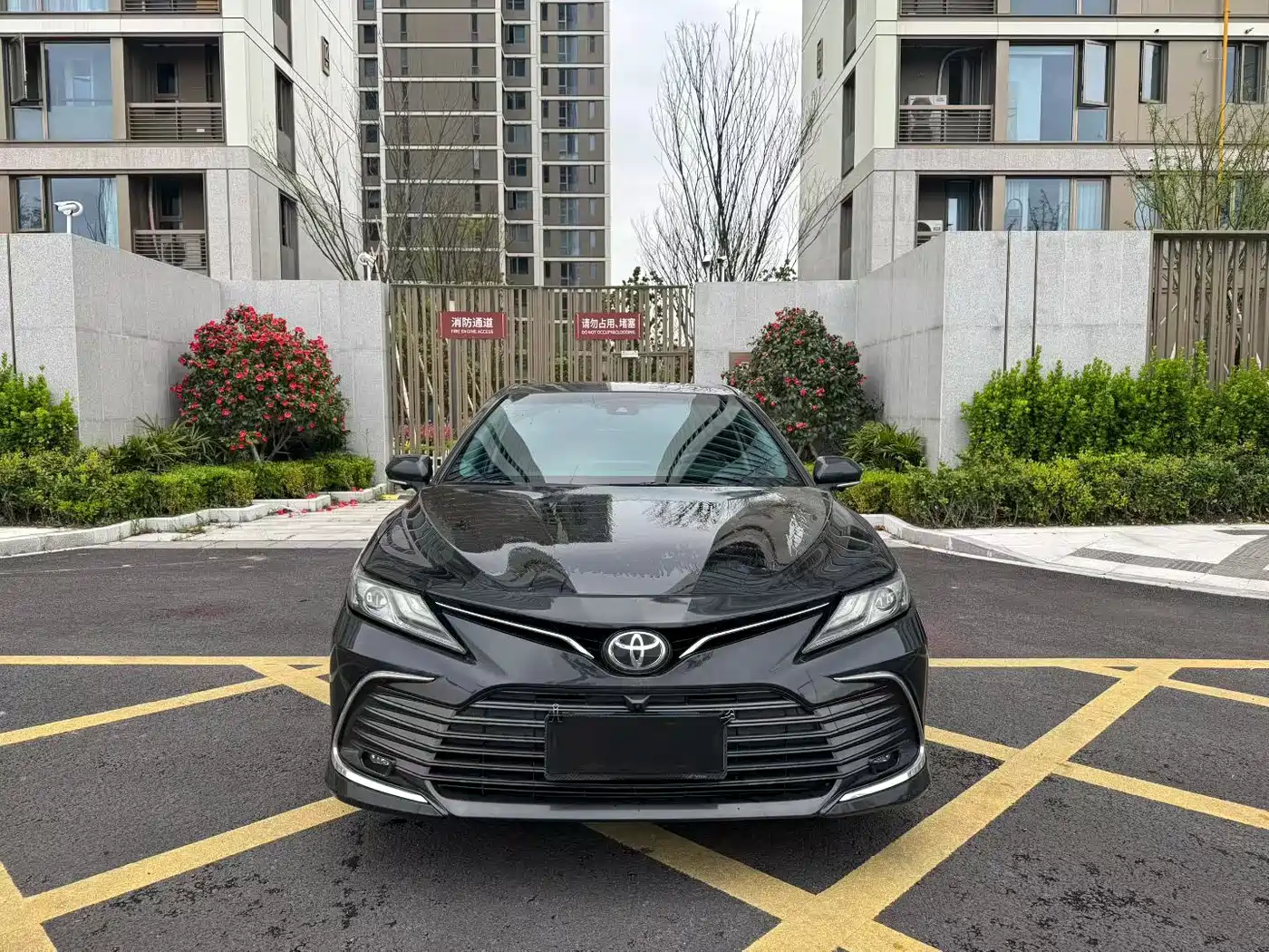 Toyota Camry 2021 2.5G Luxury Edition фото 2