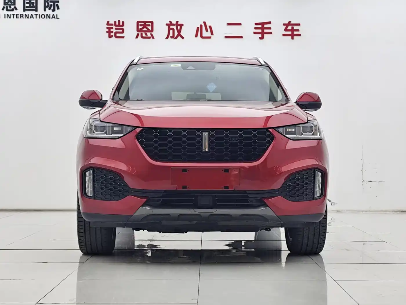 WEI PAI WEI BRAND VV6